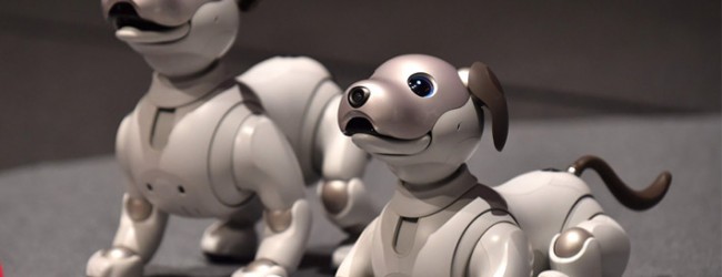 Sony presenta al nuevo Aibo, el perro con inteligencia artificial