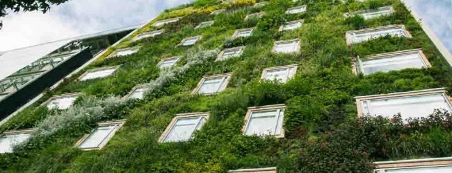 Tecnología ‘verde’ en los edificios