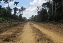 Perú impulsa la construcción de carreteras en zonas protegidas de la Amazonia