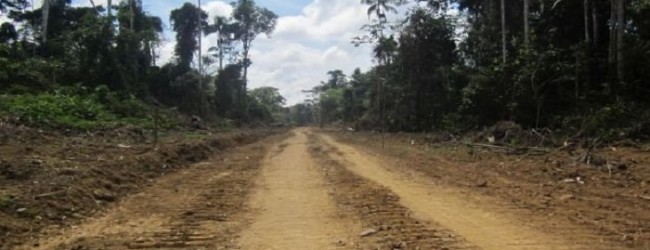 Perú impulsa la construcción de carreteras en zonas protegidas de la Amazonia