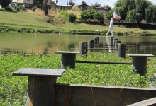 Un 36% de avance registran las obras de construcción del parque urbano Lo Galindo en Concepción