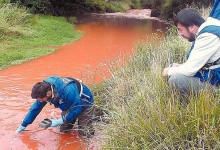 Derrame de pintura en río Trainel amenaza la biodiversidad del lago Huillinco de Chiloé