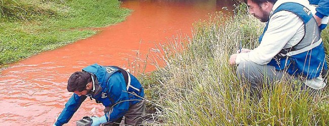 Derrame de pintura en río Trainel amenaza la biodiversidad del lago Huillinco de Chiloé