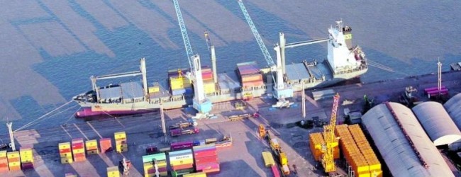 Argentina: Proyectan construcción de puerto multipropósito adosado a Zona Franca de Villa Constitución.