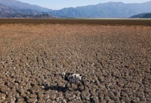 La laguna de Aculeo se secó por completo y vecinos ruegan por lluvias para recuperarla