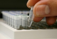 Un sensor biodegradable podría ser el futuro de la rehabilitación en lesiones