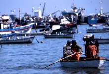 Científicos chilenos diseñan sistema integral de observación y predicción de marea roja