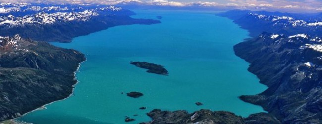 Científico nacional por el Día Mundial de los Océanos: «Chile es un país modelo en protección de la biodiversidad»