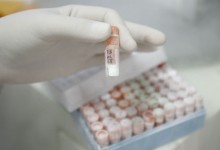 Un ingrediente crucial en procesos celulares podría ser la clave en tratamientos contra el cáncer