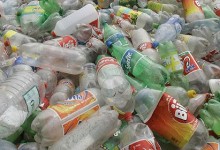 Investigación portuguesa asegura que el futuro para elaborar plástico está en el azúcar de las plantas