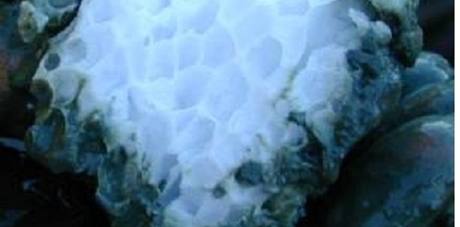 Investigadores chilenos descubren en la Patagonia el yacimiento de metano más grande del mundo