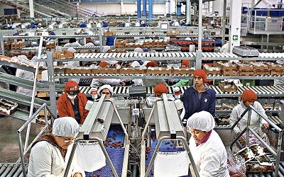 Mejora calidad del empleo: Índice de Precariedad Laboral llega a menor nivel desde noviembre de 2013