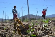 MOP anuncia inédita compra de derechos de agua en provincia de Petorca para enfrentar sequía