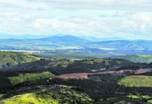 La Araucanía: traspaso de tierras divide a actores de la región