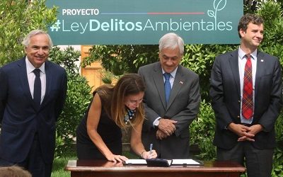 Los principales puntos del proyecto que sanciona con hasta 5 años de cárcel a infractores ambientales