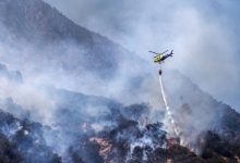 Balance Onemi: Incendios forestales han consumido más de 2.200 hectáreas a lo largo de Chile