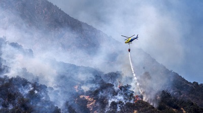 Balance Onemi: Incendios forestales han consumido más de 2.200 hectáreas a lo largo de Chile