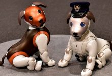Presentan versión del perro-robot Aibo en Japón que lo transforma en una «mascota policía»