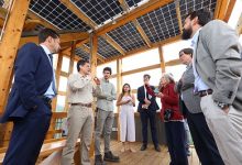 Investigadores chilenos desarrollan innovadora tecnología que permite construir viviendas sociales de madera en altura