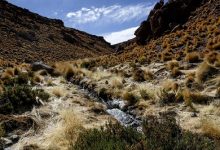 Tres claves para entender la disputa entre Chile y Bolivia por el río Silala