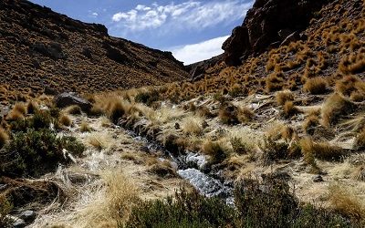 Tres claves para entender la disputa entre Chile y Bolivia por el río Silala
