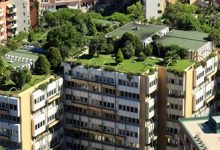 Techos verdes: la tendencia en diseño urbano que combina vegetación amigable y materiales clásicos
