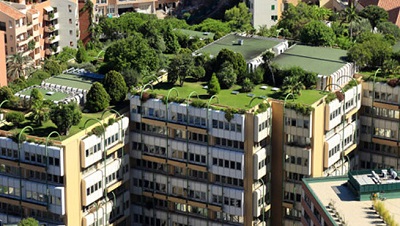 Techos verdes: la tendencia en diseño urbano que combina vegetación amigable y materiales clásicos