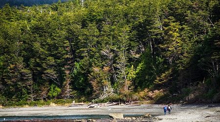 Inédito proyecto de 50 científicos analizó más de 1.000 estudios de Patagonia chilena para mejorar su conservación