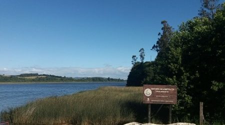 Mejor monitoreo y desarrollo tecnológico sostenible están entre los desafíos para asegurar la calidad del agua en Chile