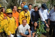 Minvu presenta plan para reforestar 18 hectáreas del Parque Metropolitano