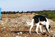 La preocupante situación de los vertederos en Chile: 43 ya cumplieron su vida útil