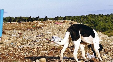 La preocupante situación de los vertederos en Chile: 43 ya cumplieron su vida útil
