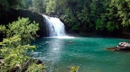 Proponen parque temático en acceso norte de Parque Nacional Puyehue: proyectan ejecución en 2021