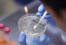 Podría estar lista antes de fin de año: Oxford inicia pruebas en humanos de vacuna contra Covid-19