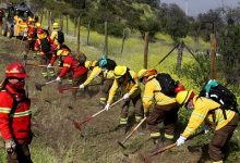 Ministros Walker y Moreno refuerzan en terreno construcción de cortafuegos para el control de incendios forestales