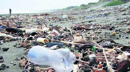Evitar contaminación en playas con el reciclaje de plástico: El proceso para convertir los desechos en artículos que duran para siempre