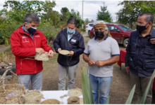 Indap destaca proyectos de riego asociativo y emprendimiento en turismo rural de región de Los Lagos
