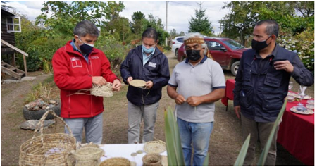 Indap destaca proyectos de riego asociativo y emprendimiento en turismo rural de región de Los Lagos
