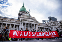 Tierra del Fuego pone a la Argentina a la vanguardia de protección de los océanos: Legislatura prohíbe la salmonicultura, el primer país en tomar esta medida