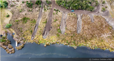 Investigan relleno en humedal de la Laguna Avendaño: director de Obras Municipales está suspendido
