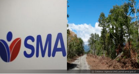 Inmobiliaria Santa Amalia alega no ser dueña de proyecto sancionado por SMA en Pucón