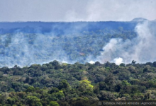 Amazonía perdió en 35 años una cobertura del porte de Chile y la mitad de sus glaciares