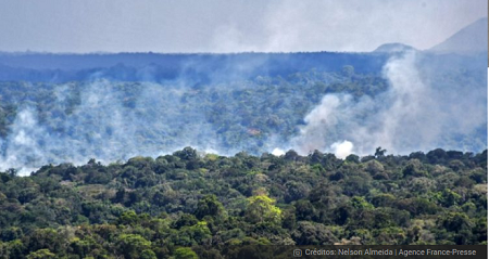 Amazonía perdió en 35 años una cobertura del porte de Chile y la mitad de sus glaciares