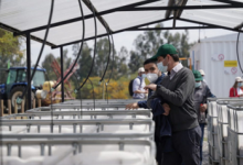 114 pequeños agricultores de Melipilla acceden a tecnología de punta
