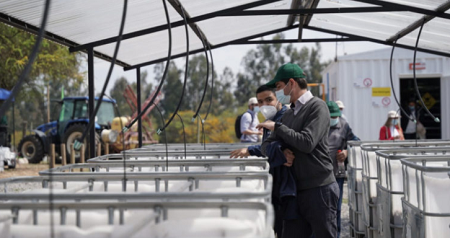 114 pequeños agricultores de Melipilla acceden a tecnología de punta
