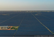 Los «desiertos verdes» con que India quiere dominar la energía solar