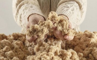 TECNOLOGÍA DE RECICLAJE BELGA REUTILIZA TABLEROS DE MADERA PARA AUMENTAR SU PRODUCCIÓN Y CALIDAD