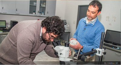 Equipo UC transforma relaves del cobre en materiales para construcción