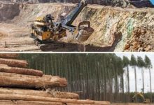 Gremios de la minería y las forestales arremeten contra norma que caduca las concesiones en tierras indígenas