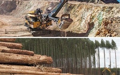 Gremios de la minería y las forestales arremeten contra norma que caduca las concesiones en tierras indígenas